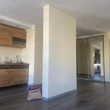 R Un S Inzenieru 58-3 Apartment